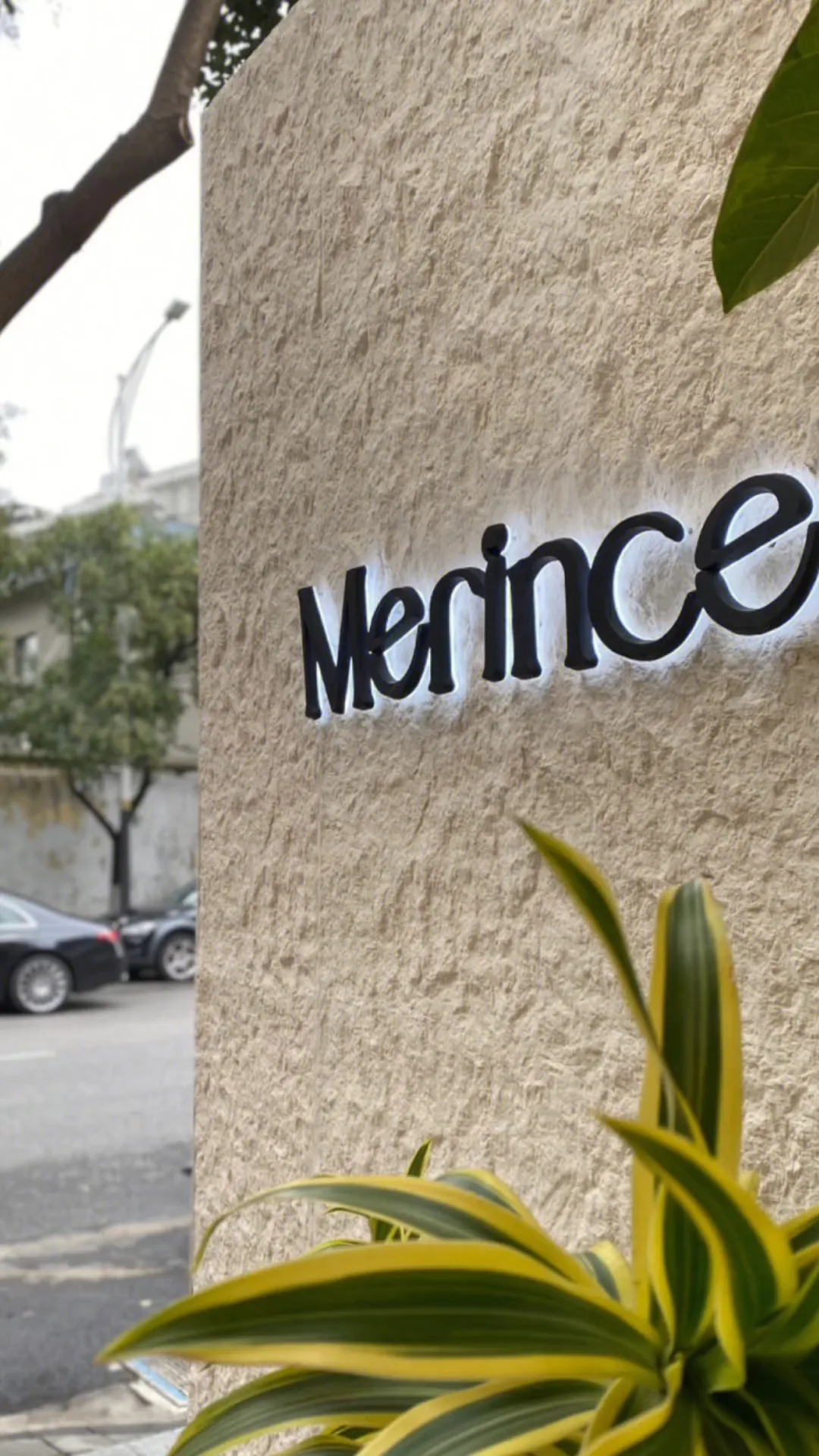 Sengu flexible stone commercial wall application